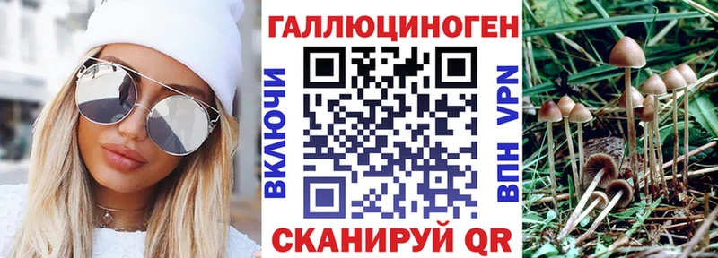 MEGA зеркало Пересвет Псилоцибиновые грибы GOLDEN TEACHER
